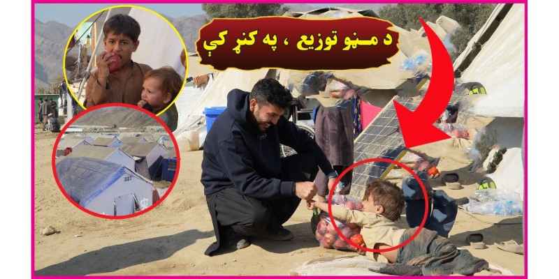 Delivering Apples as Relief to Kunar Earthquake Victims